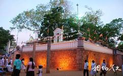 斯里兰卡阿努拉德普勒市旅游攻略之菩提树寺