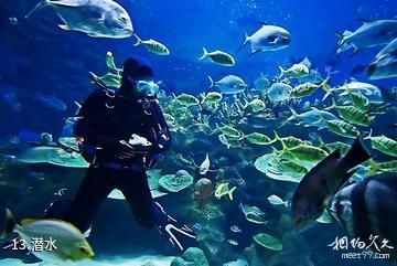 苍鹭岛海底风光-潜水照片