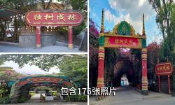 瑞丽独树成林风景区驴友相册