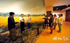 安徽中国稻米博物馆旅游攻略之袁隆平院士