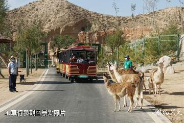 蘭州野生動物園-車行參觀區照片