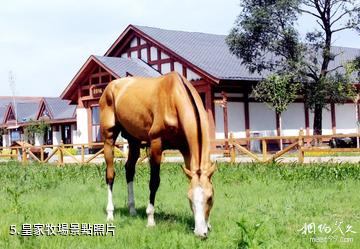 豐寧馬鎮旅遊區-皇家牧場照片