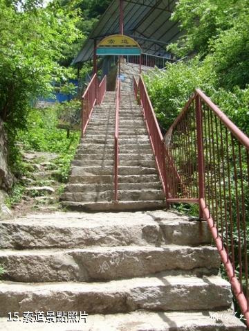 藍田王順山國家森林公園-索道照片