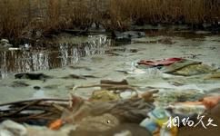 榮成天鵝湖生態旅遊攻略之湖面污染