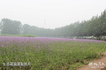 天津水高莊園-百花園照片