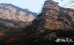 綏寧洛口山旅遊攻略之山峰
