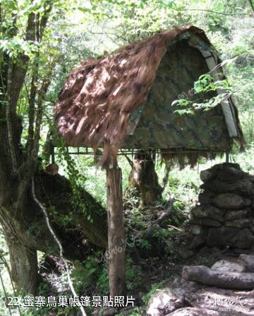 雅安東拉山大峽谷風景區-蜜寨鳥巢帳篷照片