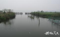 下渚湖国家湿地公园旅游攻略之湿地风光