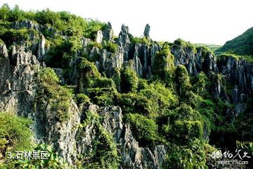 铜仁思南温泉石林景区-石林景区照片