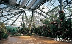 中科院华南植物园旅游攻略之奇花异果植物室