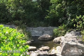 香港湿地公园-溪畔漫游径照片