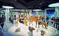 重慶自然博物館旅遊攻略之生態家園