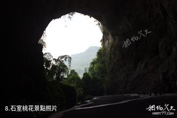 合陽洽川風景名勝區-石室桃花照片