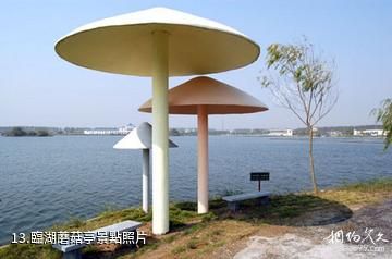 江蘇永豐林農業生態園-臨湖蘑菇亭照片