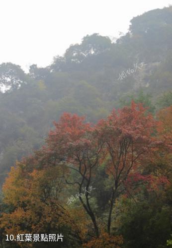 阿壩汶川三江生態區-紅葉照片