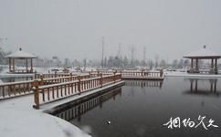栾城樱花公园旅游攻略之雪景