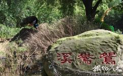 武汉东湖鸟语林旅游攻略之鸳鸯溪