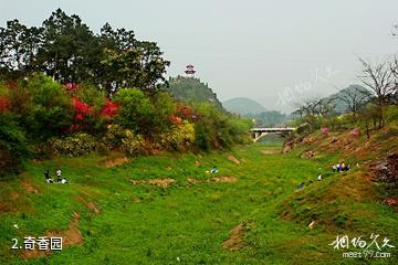 兴义贵州醇景区-奇香园照片
