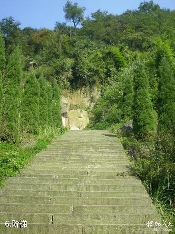 重庆圣灯山森林公园-阶梯照片