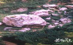 西安骊山国家森林公园旅游攻略之秤锤石