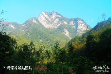 湖北五峰后河國家級自然保護區-蝴蝶谷照片