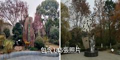 崑山城市生態森林公園驢友相冊