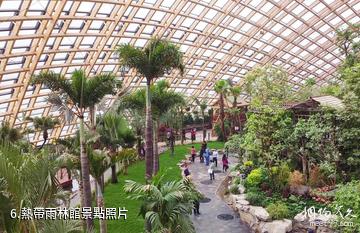 太原植物園-熱帶雨林館照片