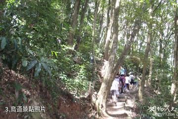 蓬壺仙洞普濟風景區-鳥道照片