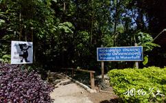 老挝琅勃拉邦古城旅游攻略之月熊保护中心