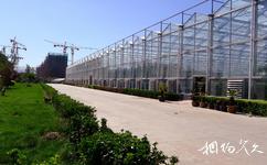 北京海舟慧霖葡萄园旅游攻略之现代化温室