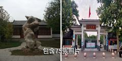聊城姜堤樂園驢友相冊