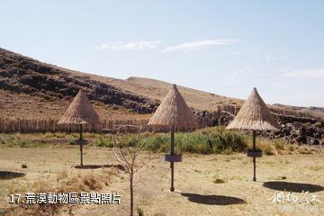 新疆天山野生動物園-荒漠動物區照片