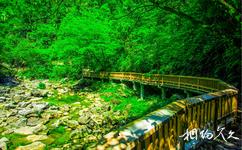 长阳卓尔木桥溪生态旅游攻略之溯溪