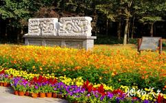 南京下马坊遗址公园旅游攻略之龙纹石雕构件