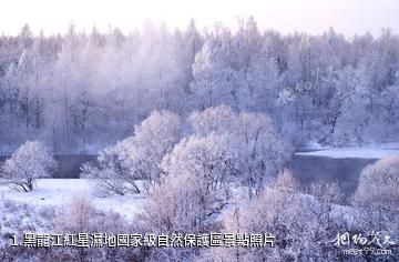 黑龍江紅星濕地國家級自然保護區照片