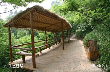 临沂天上王城景区-生态游路照片