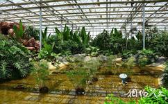 西安沣东现代都市农业博览园旅游攻略之南方植物馆