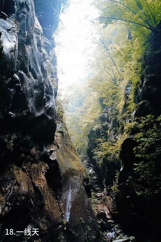 陕西黑河国家森林公园-一线天照片