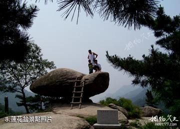 招遠羅山國家森林公園-蓮花盆照片