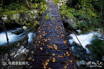 陝西長青國家級自然保護區-弔橋照片