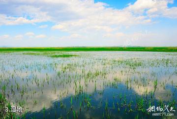 丹东鸭绿江口湿地-湿地照片