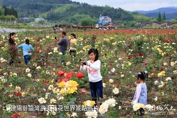 建陽卧龍灣武夷花花世界照片