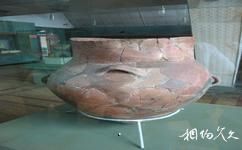 瀋陽新樂遺址博物館旅遊攻略之新樂石器中晚期文化