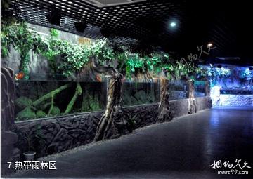 博鳌海洋馆-热带雨林区照片