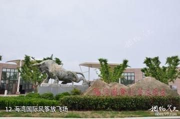 上海奉贤海湾旅游区-海湾国际风筝放飞场照片