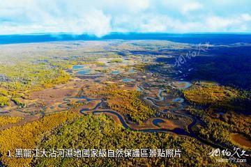 黑龍江大沾河濕地國家級自然保護區照片