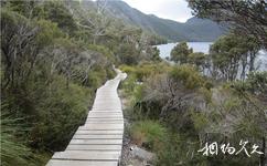 澳大利亞搖籃山旅遊攻略之環湖步道