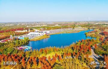 淮安白马湖生态旅游景区-红枫谷照片