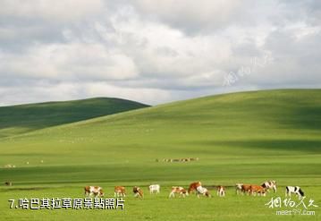 赤峰召廟-哈巴其拉草原照片