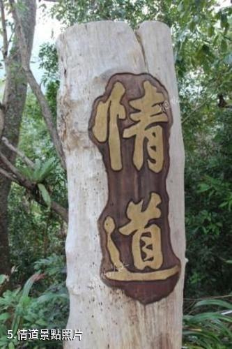 海南霸王嶺國家森林公園-情道照片